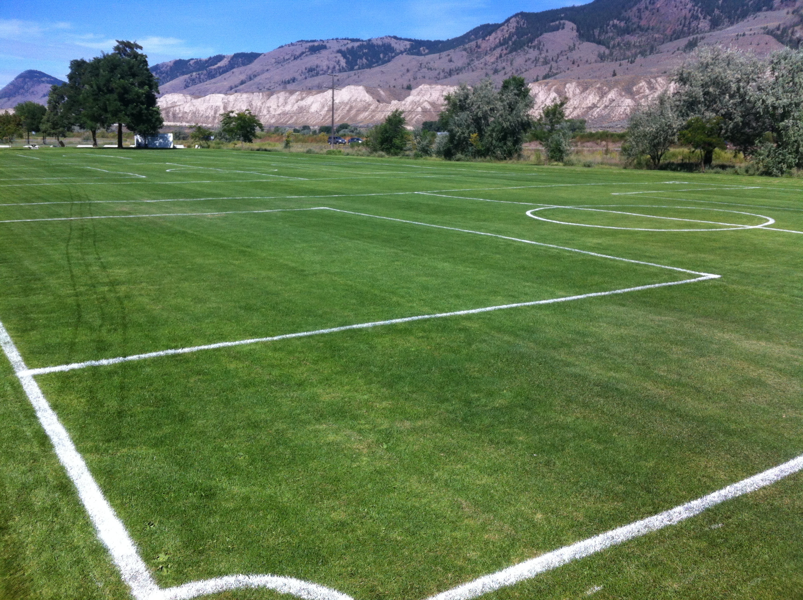 kamloops field.jpg